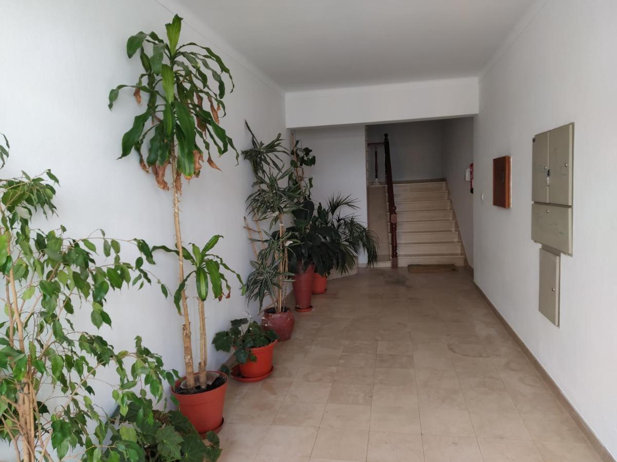 Apartamentos Bau-Doce Cercal do Alentejo Exterior foto
